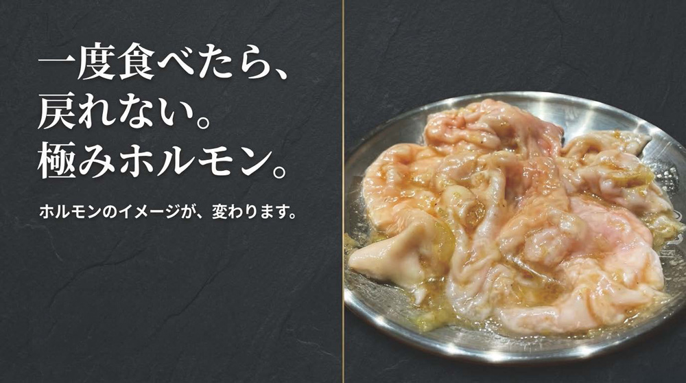 極みホルモン