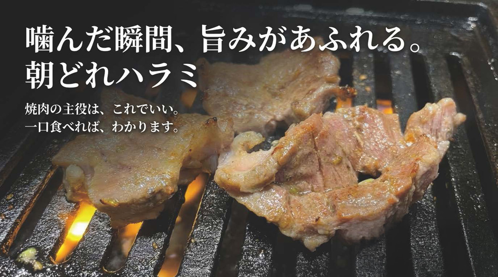 朝どれハラミ