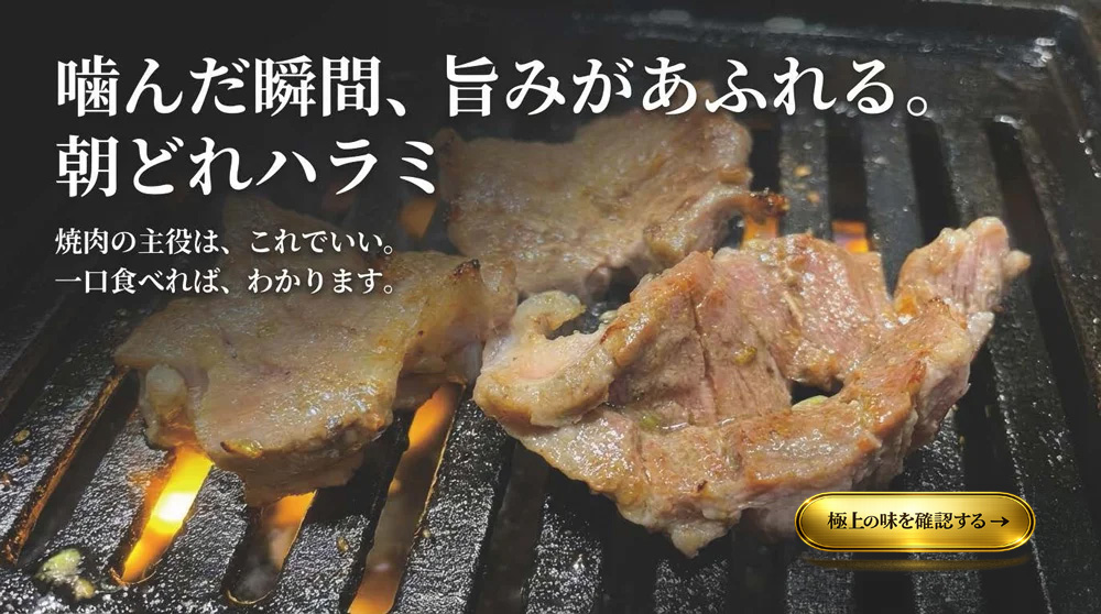 朝どれハラミ