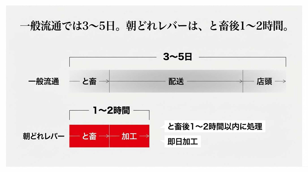 朝どれレバーの圧倒的鮮度の秘密